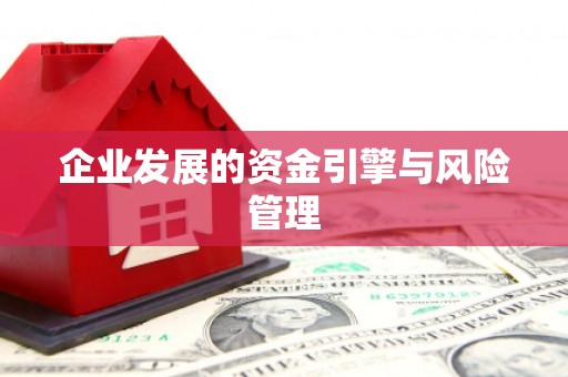 恒春企业发展的资金引擎与风险管理