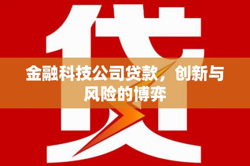 恒春金融科技公司贷款，创新与风险的博弈