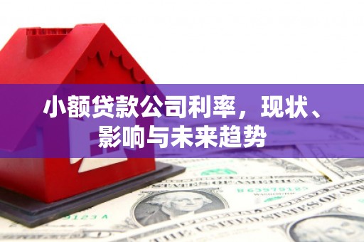 恒春小额贷款公司利率，现状、影响与未来趋势