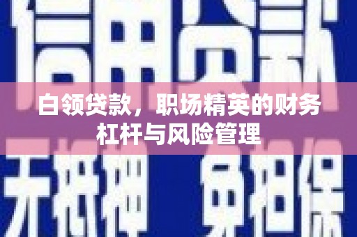 恒春白领贷款，职场精英的财务杠杆与风险管理