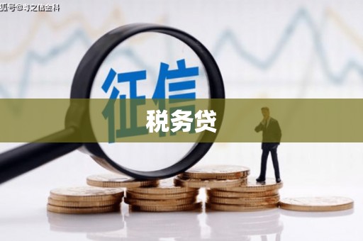 恒春税务贷