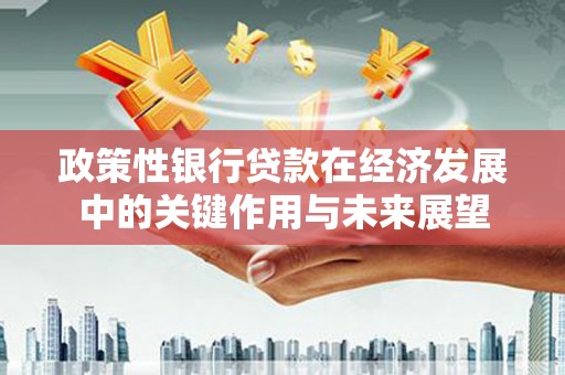 恒春政策性银行贷款在经济发展中的关键作用与未来展望