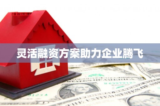 恒春灵活融资方案助力企业腾飞