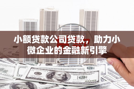 恒春小额贷款公司贷款，助力小微企业的金融新引擎