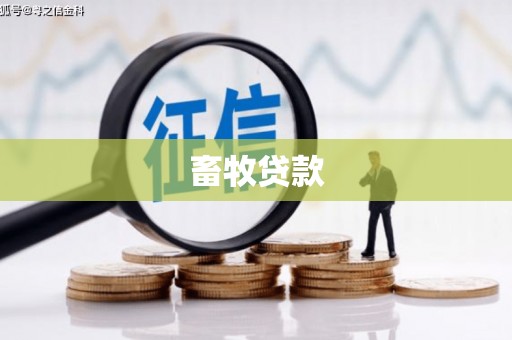 恒春畜牧贷款