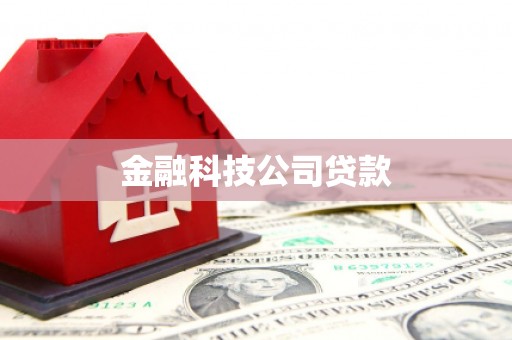 恒春金融科技公司贷款