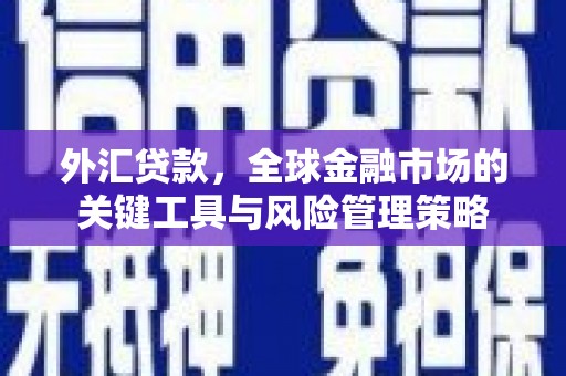 恒春外汇贷款，全球金融市场的关键工具与风险管理策略
