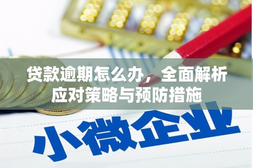 恒春贷款逾期怎么办，全面解析应对策略与预防措施