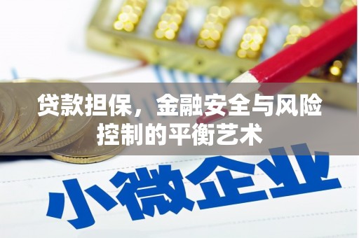 恒春贷款担保，金融安全与风险控制的平衡艺术