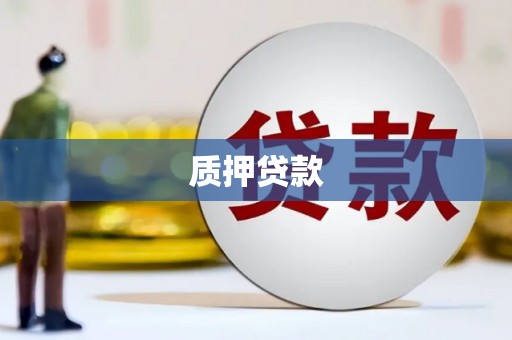 恒春质押贷款