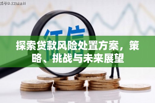 恒春探索贷款风险处置方案，策略、挑战与未来展望