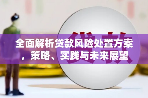 恒春全面解析贷款风险处置方案，策略、实践与未来展望