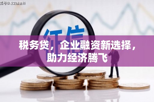 恒春税务贷，企业融资新选择，助力经济腾飞