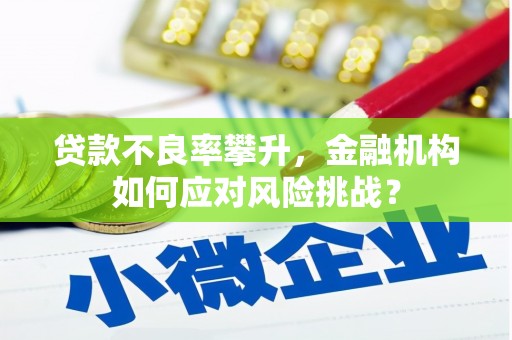 恒春贷款不良率攀升，金融机构如何应对风险挑战？