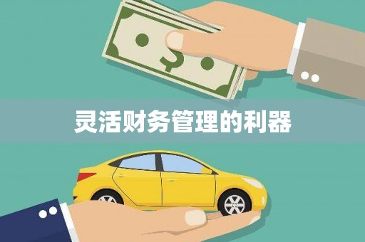 恒春灵活财务管理的利器