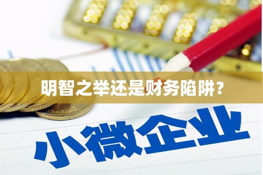 恒春明智之举还是财务陷阱？