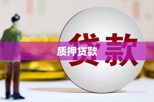 恒春质押贷款