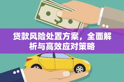 恒春贷款风险处置方案，全面解析与高效应对策略