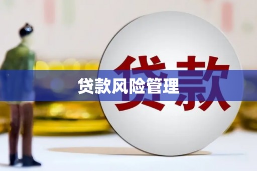 恒春贷款风险管理