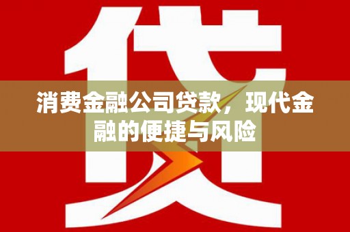 恒春消费金融公司贷款，现代金融的便捷与风险