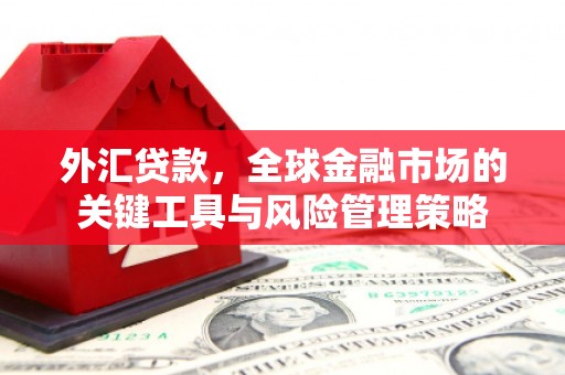 恒春外汇贷款，全球金融市场的关键工具与风险管理策略