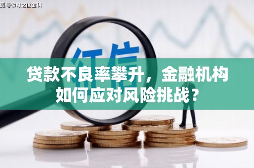 恒春贷款不良率攀升，金融机构如何应对风险挑战？
