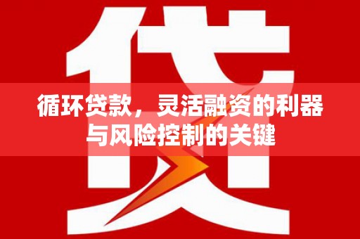 恒春循环贷款，灵活融资的利器与风险控制的关键