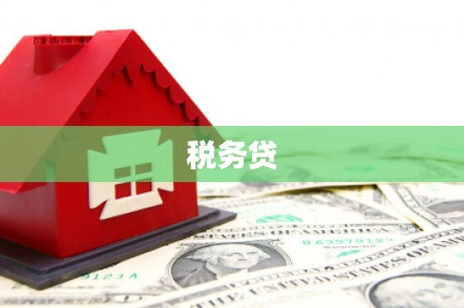 恒春税务贷