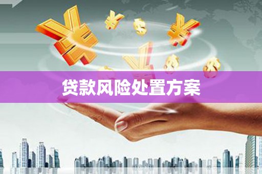恒春贷款风险处置方案