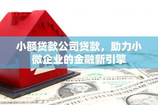 恒春小额贷款公司贷款，助力小微企业的金融新引擎