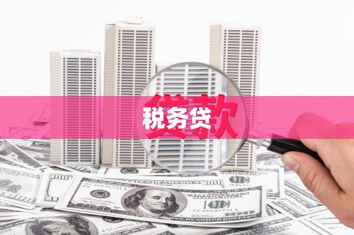 恒春税务贷