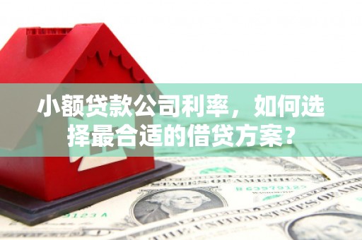 恒春小额贷款公司利率，如何选择最合适的借贷方案？