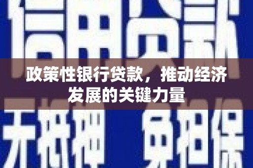 恒春政策性银行贷款，推动经济发展的关键力量