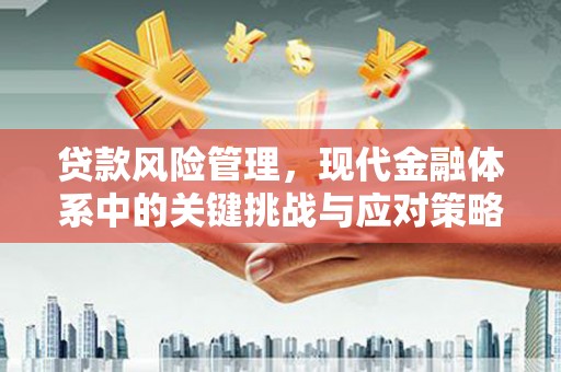 恒春贷款风险管理，现代金融体系中的关键挑战与应对策略