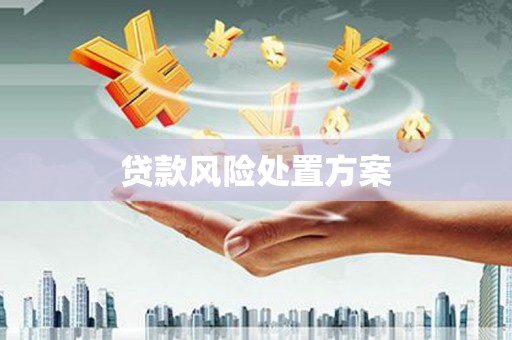 恒春贷款风险处置方案