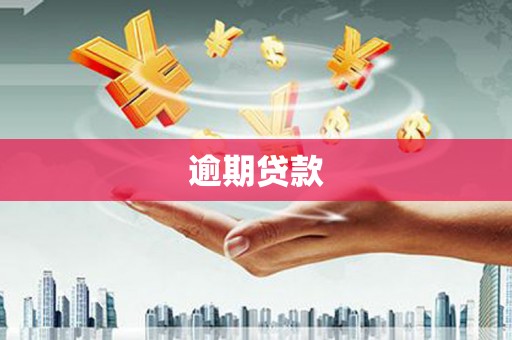 恒春逾期贷款