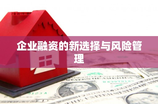 恒春企业融资的新选择与风险管理