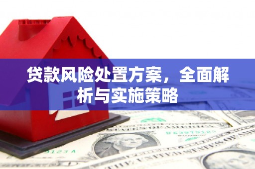 恒春贷款风险处置方案，全面解析与实施策略