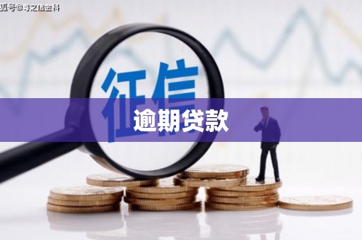 恒春逾期贷款
